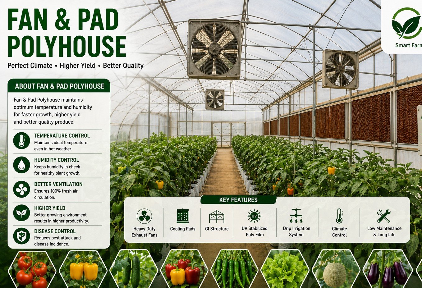 Fan and Pad Polyhouse